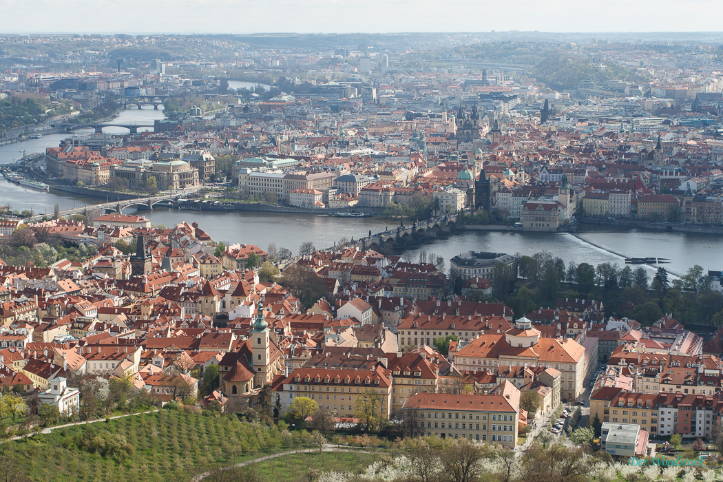 Blick vom Petrin auf die Karlsbrücke